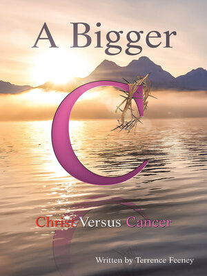 cover image of A Bigger C